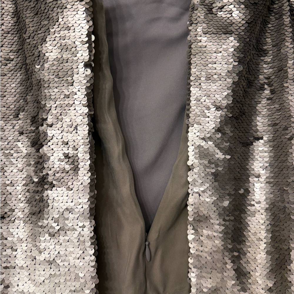 Banana Republic Shimmering Silver Mini Sequin Dress - Picture 11 of 13